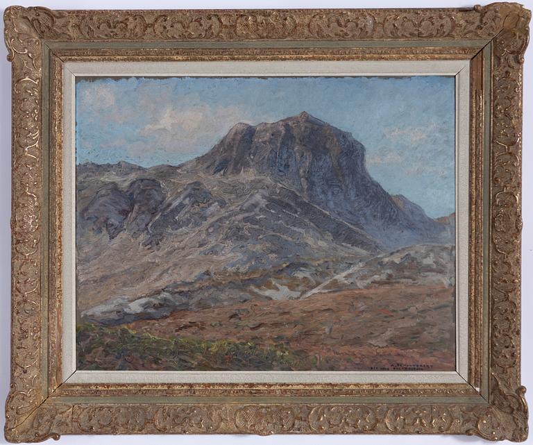 Anshelm Schultzberg, "Bitihorn Skammestein".