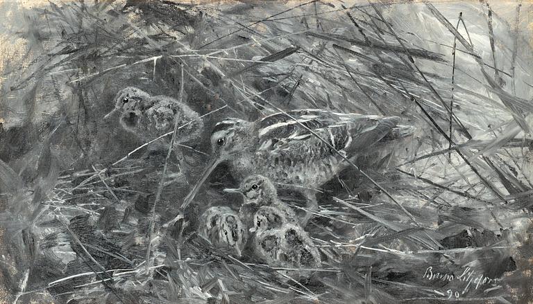 Bruno Liljefors, Snipes in a nest.