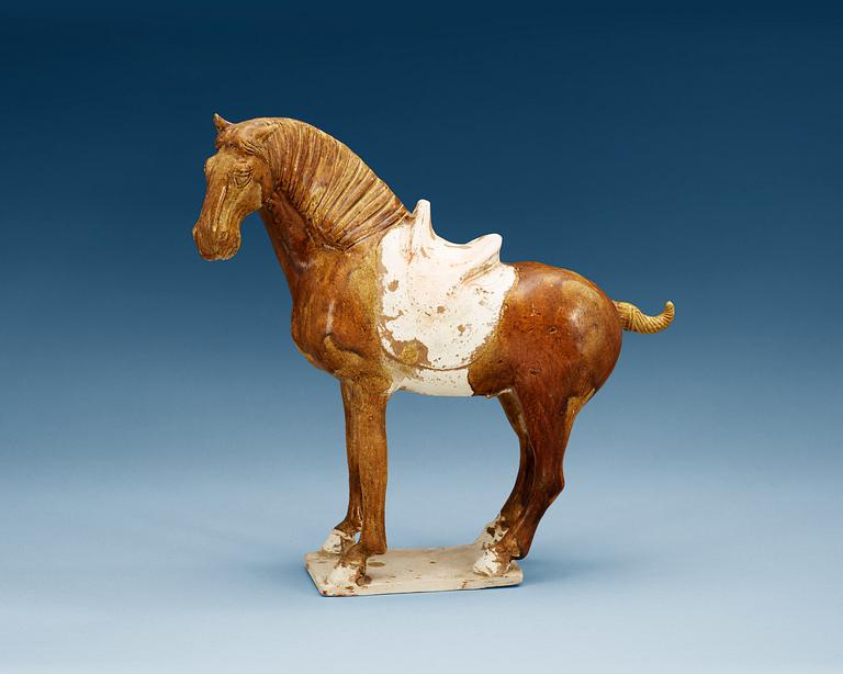 A potted figure of a horse, Tang dynasty (618-907).