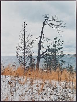 OKÄND KONSTNÄR, fotografi, signerat a tergo, Ryssland.