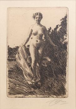 Anders Zorn, a signed etching from 1907.