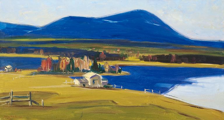 Armas Mikola, VIEW OF YLLÄS.
