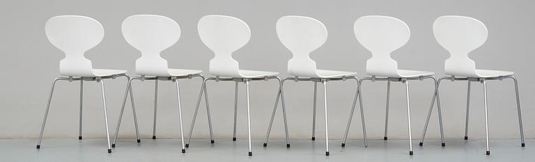 STOLAR, 6 st, "Myran", Arne Jacobsen, Fritz Hansen, 2005.