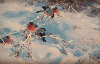 607. Thure Wallner, Bullfinches in Winter landscape.