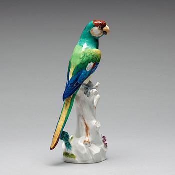 245. A Meissen figure of a parrot, circa 1900.