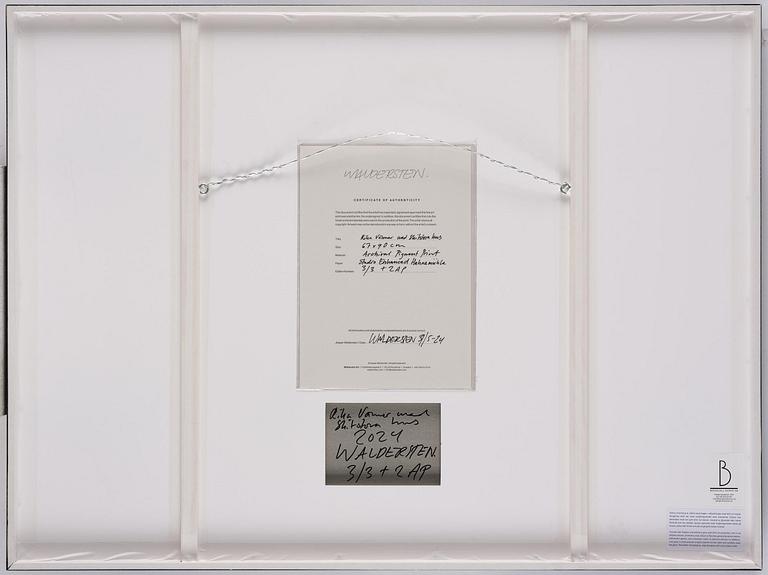 Jesper Waldersten, "Rika vänner med skitstora hus".