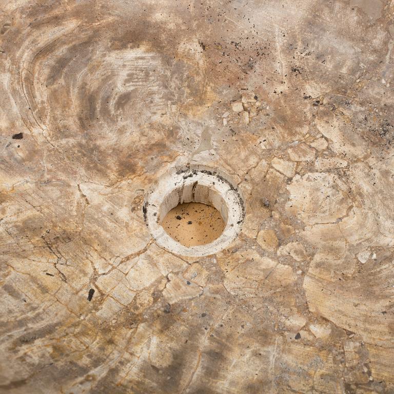 HANDFAT, fossil av förstenat trä.