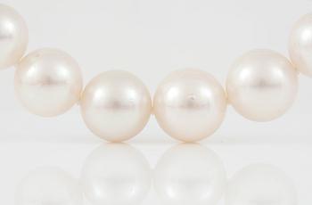 A cultured South sea pearl necklace. Ø 14 - 17.1 mm.