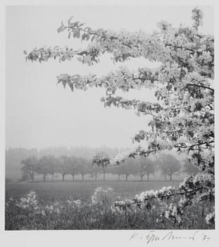 Kristoffer Albrecht, Untitled, 1989.