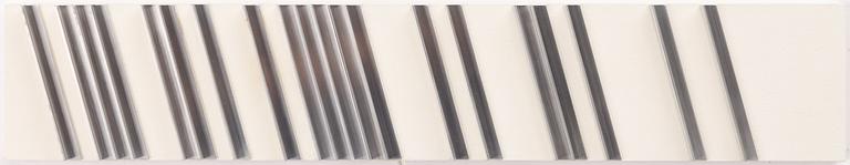 Lars Erik Falk, "Modul relief C6".