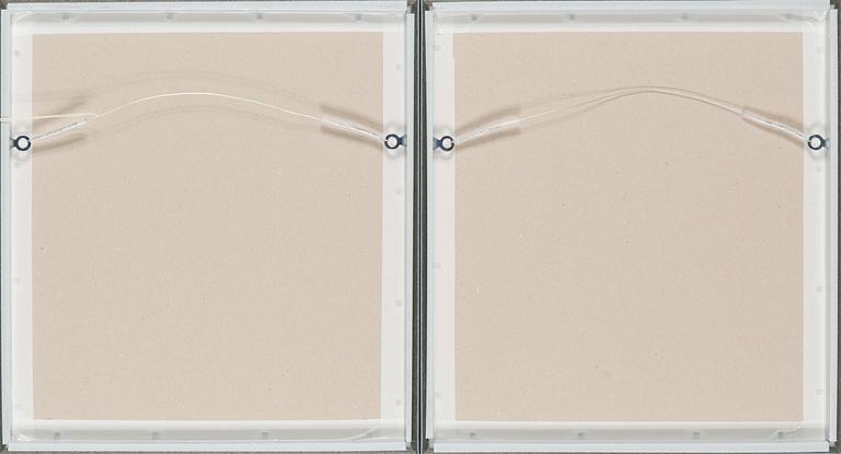 Leonhard Lapin, serigrafi, 2 st, signerade och daterade 1999, numrerade 3/21.