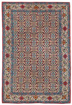 254. SEMI-ANTIQUE QUM. 209 x 143,5 cm.