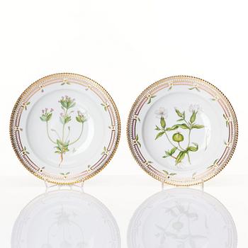 Sopptallrikar, 12 stycken, porslin. Royal Copenhagen, "Flora Danica", Danmark, 1900-tal.