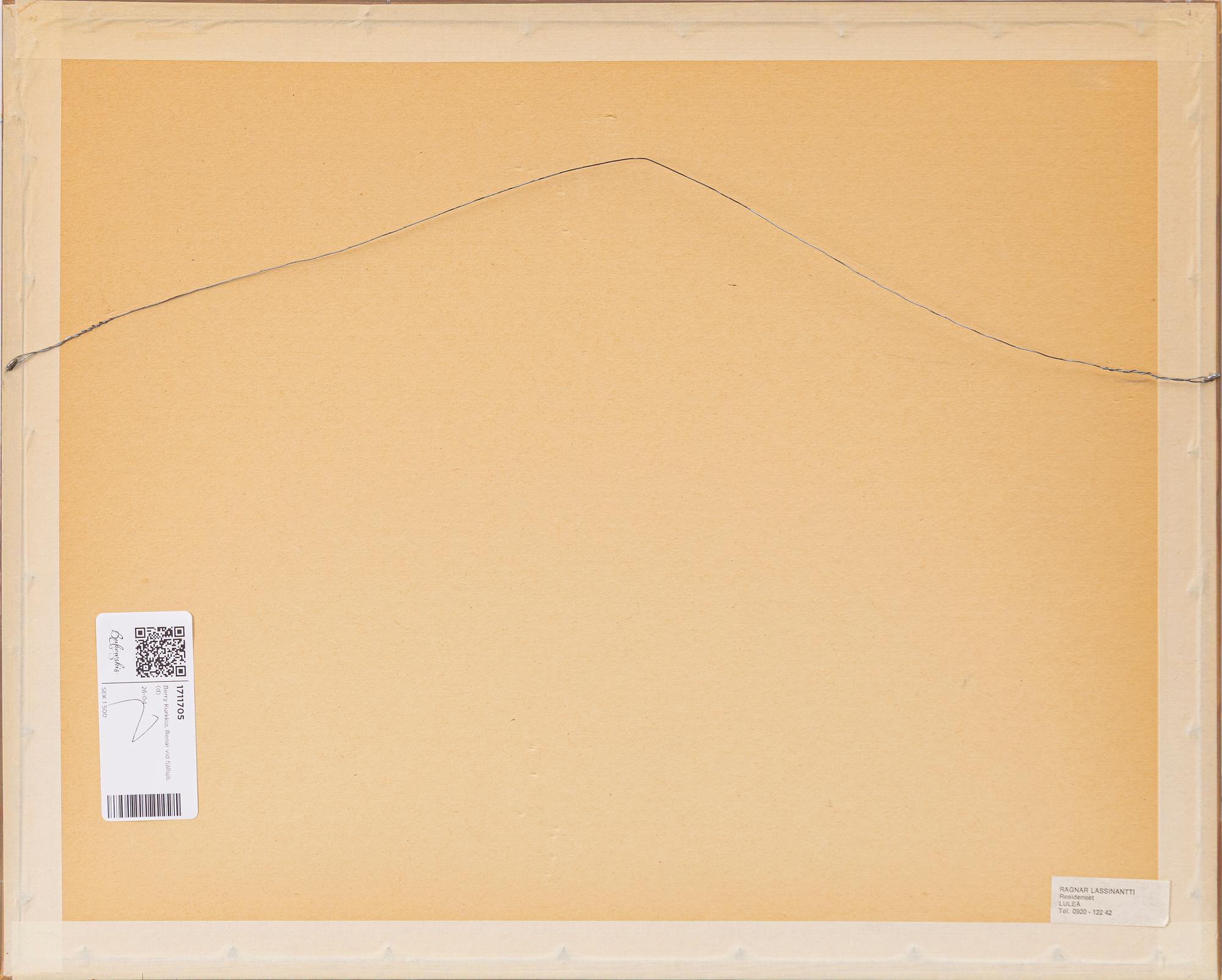 Berry Kurkkio, Reindeer by a mountain lake.