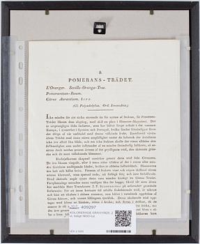 KOLORERADE GRAVYRER, 2 st, tidigt 1800-tal.