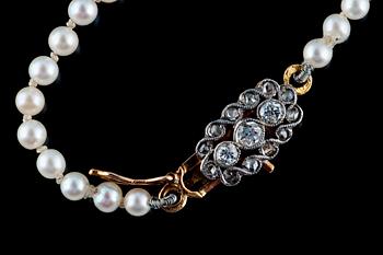 PEARL NECKLACE.