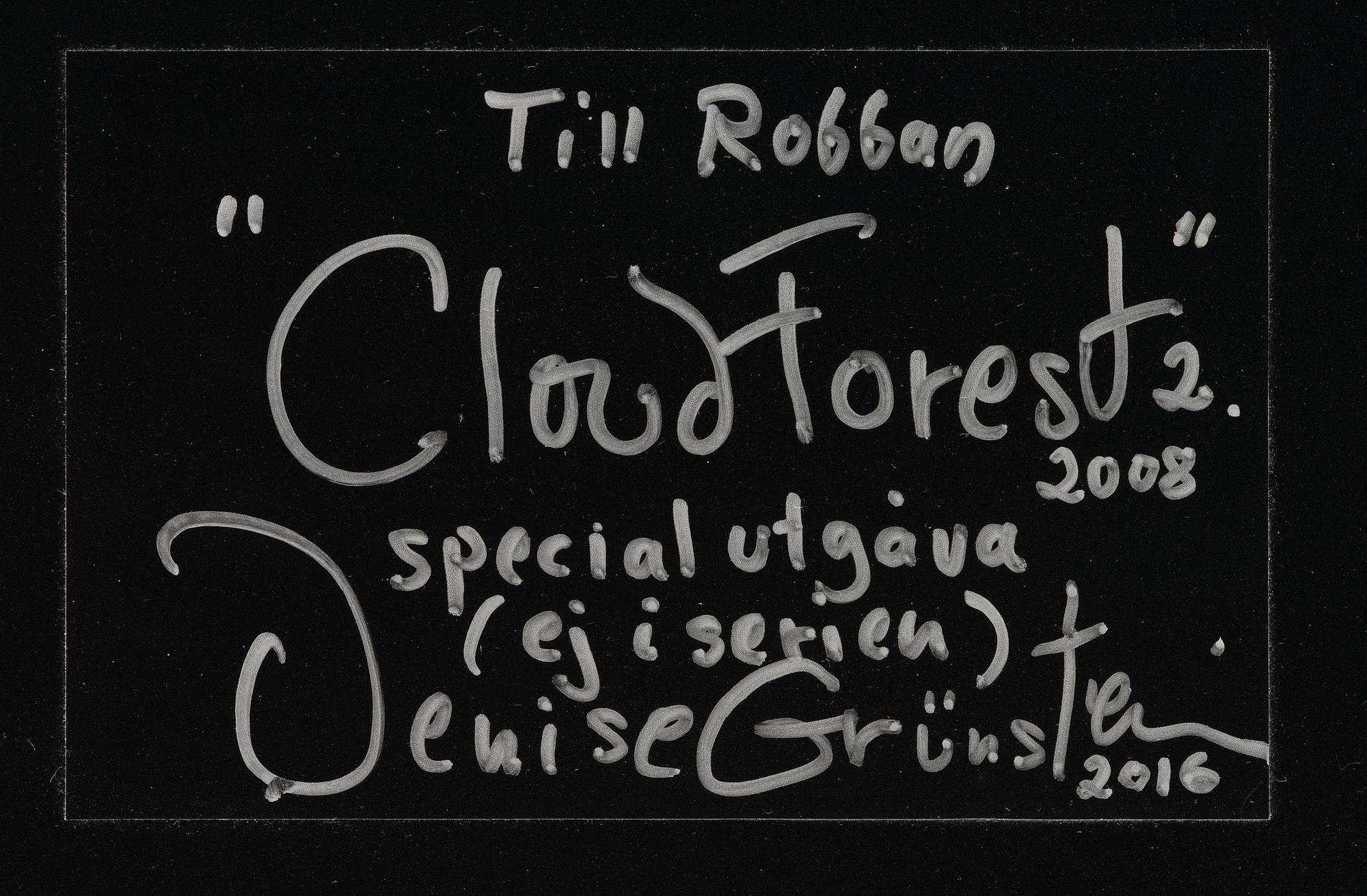 Denise Grünstein, "Cloud Forests".