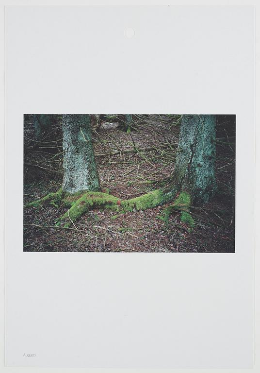 ANDREAS ERIKSSON, portfolio. Signed AE inside the box and numbered 18/250.