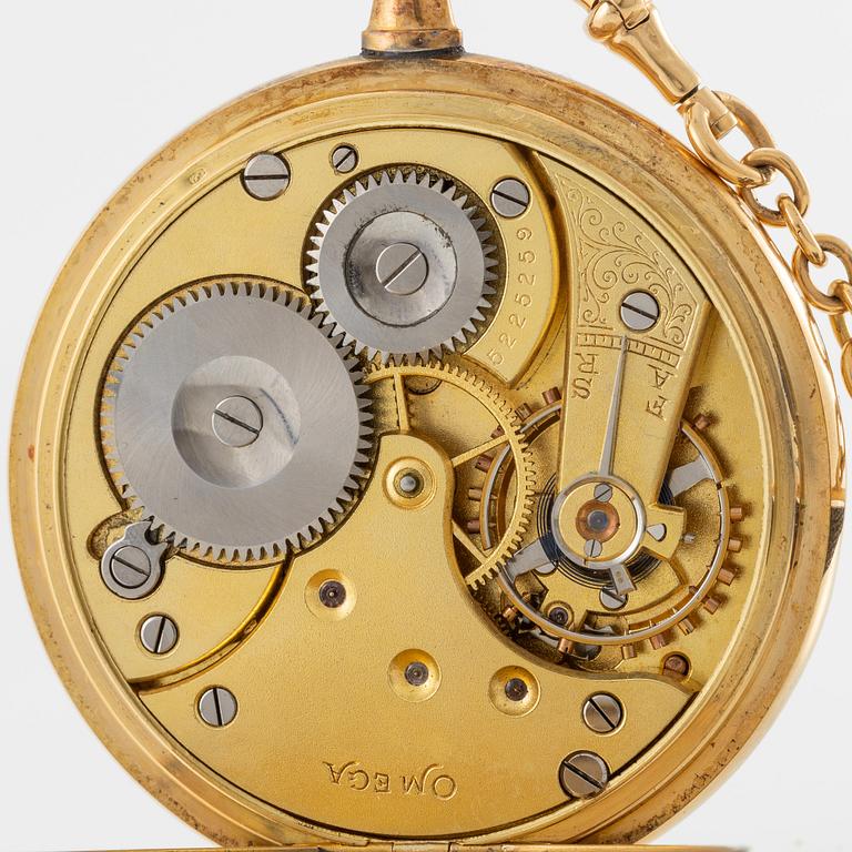 Omega, fickur, 51 mm.