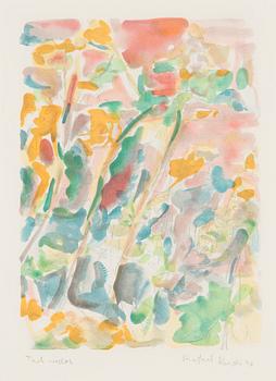 Rafael Wardi, Maisema.