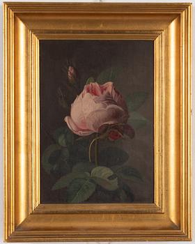Carl Balsgaard, attributed, Roses.