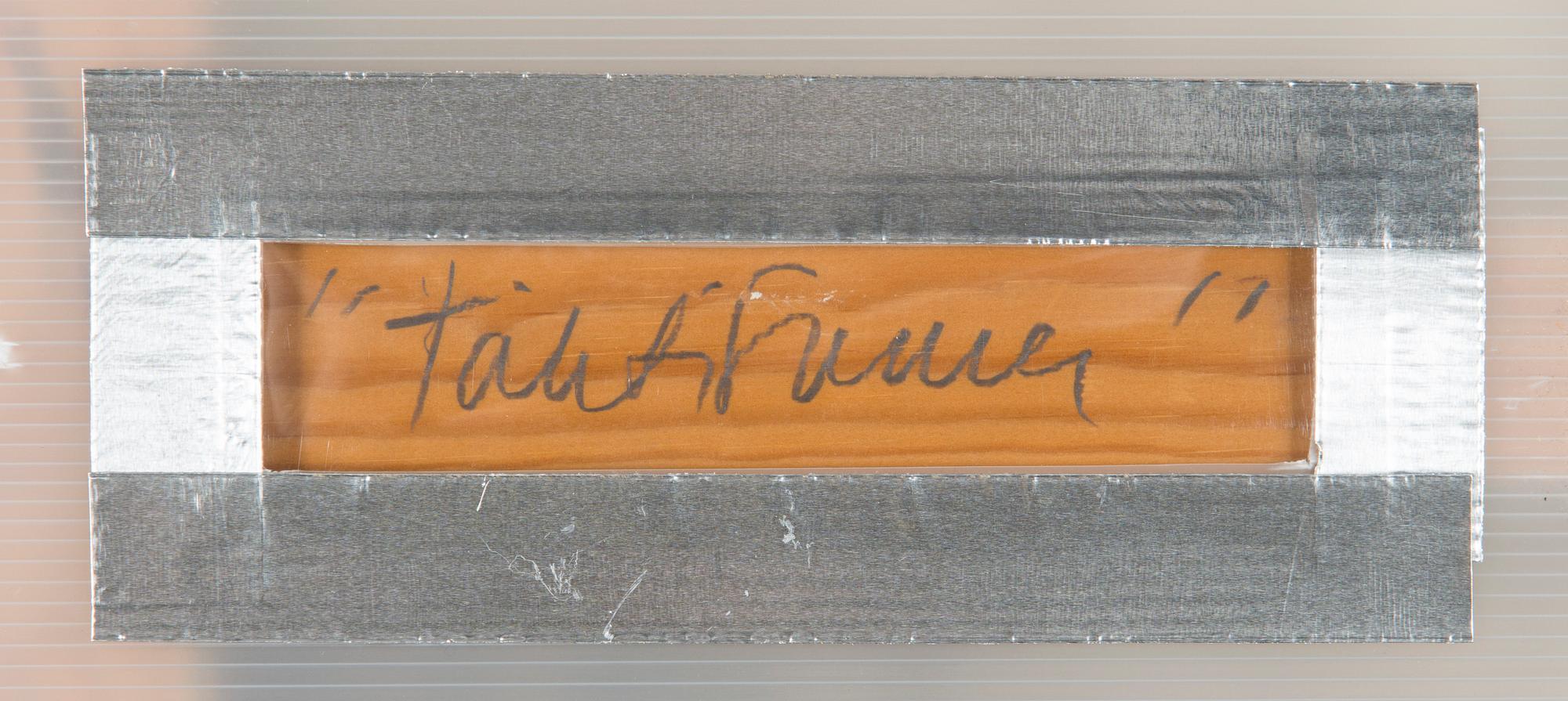 Reidar Särestöniemi, "Tähtisumu" (Stjärndimma).