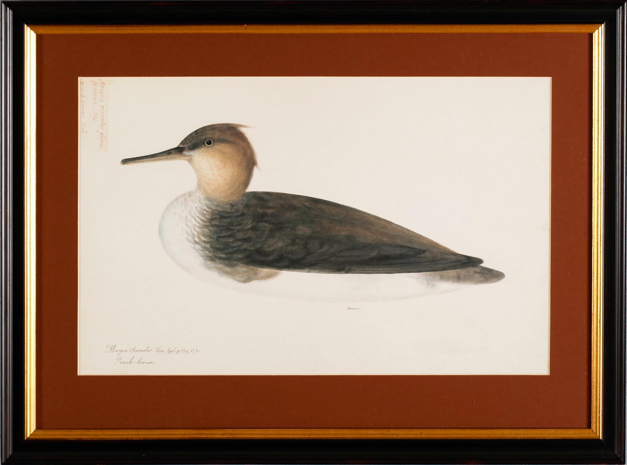 TRYCK, 3 st, 1900-/2000-tal.