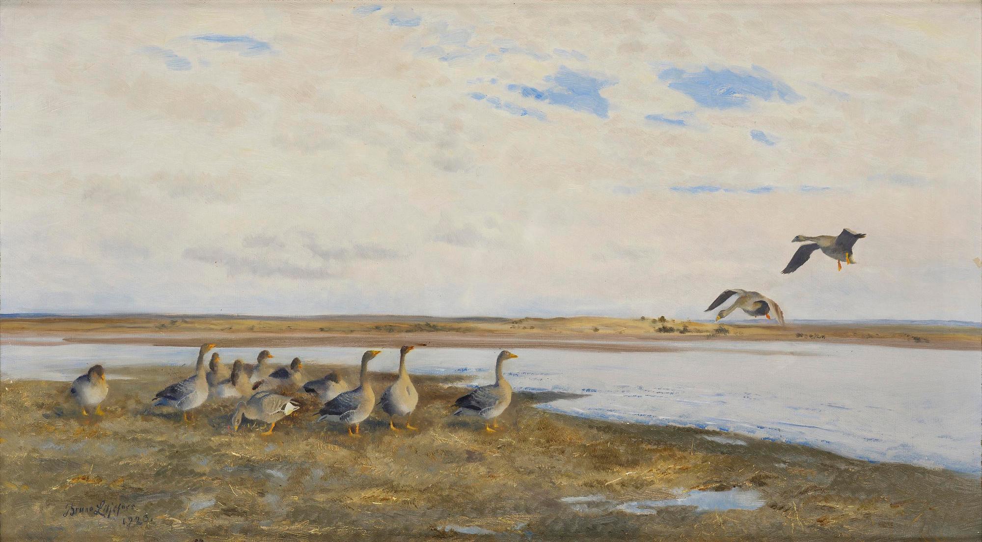 Bruno Liljefors, Landscape with geese.