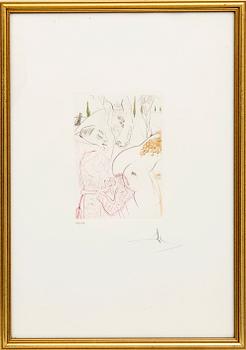 Salvador Dalí, drypoint etching signed and numbered 27/150.