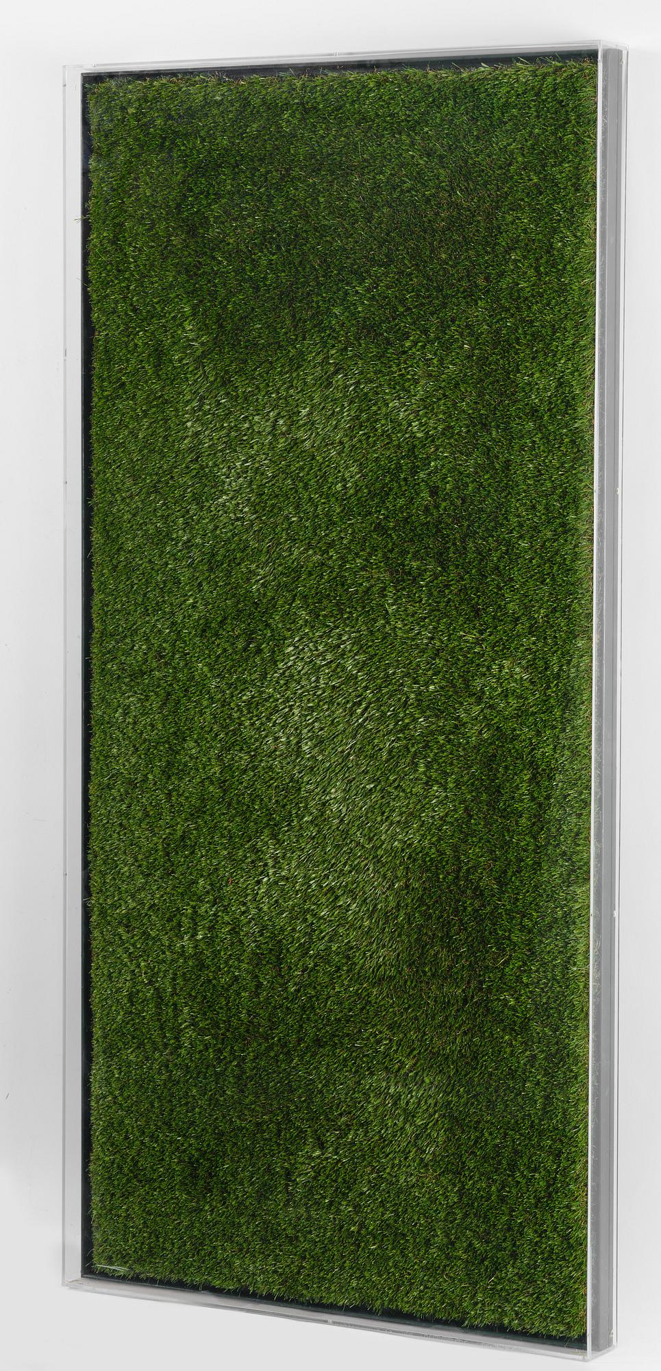 Yves Scherer, "Fructis Hardcore (1)".
