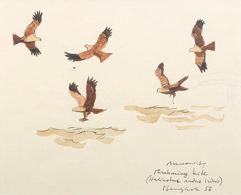 GUNNAR BRUSEWITZ, 4 st akvareller/lavering, signerade.