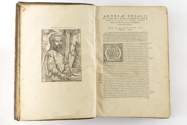 The second and best edition of Vesalius’ magnum opus, 1555.