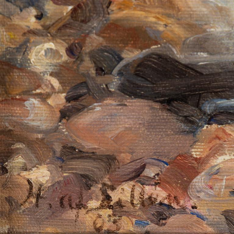 HERMAN AF SILLÉN, oil on canvas, signed och dated (19)03.