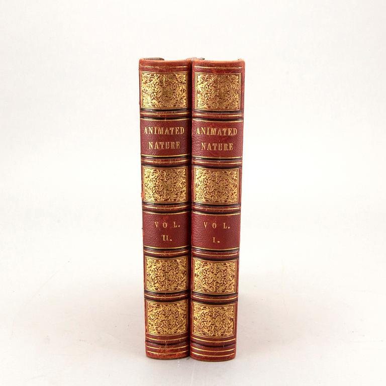 OLIVER GOLDSMITH 'A History of The Earth and Animated Nature' I-II, hand colored plates, c 1870.