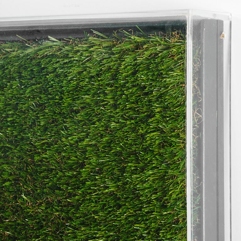 Yves Scherer, "Fructis Hardcore (1)".