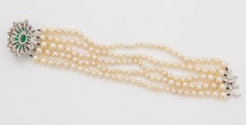 A five strand cultured pearl bracelet.