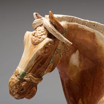 A pottery figure of a horse, Tang dynasty (618-907).