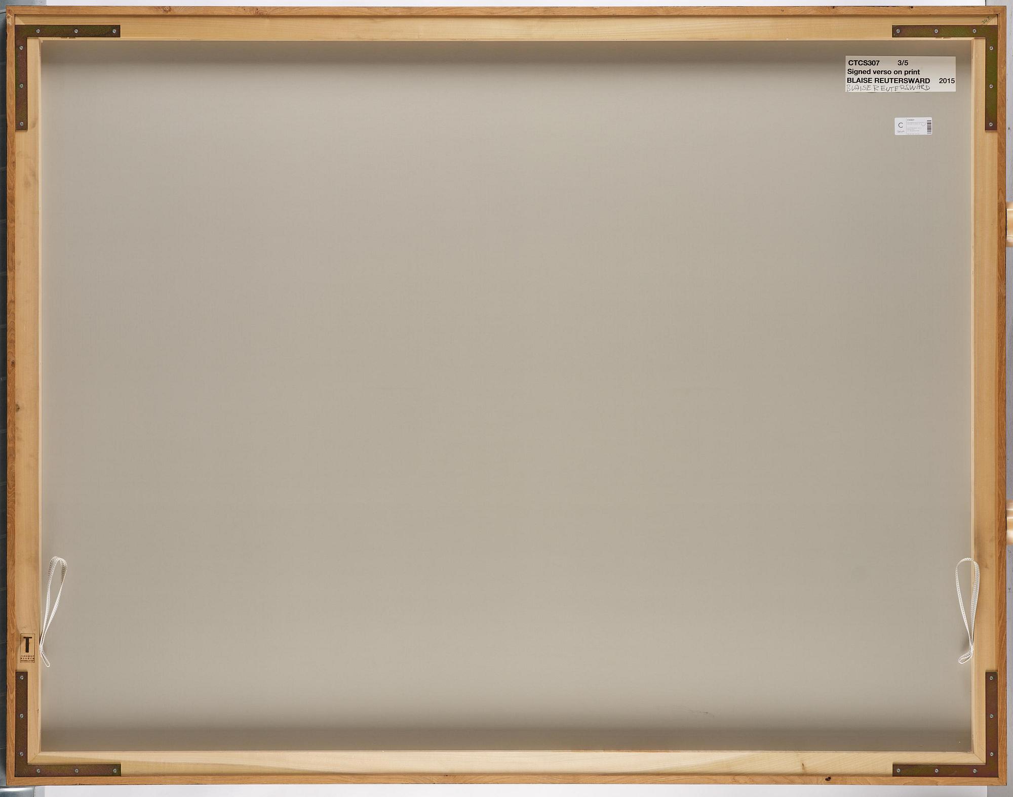 Blaise Reutersward, "CTCS307", 2015.