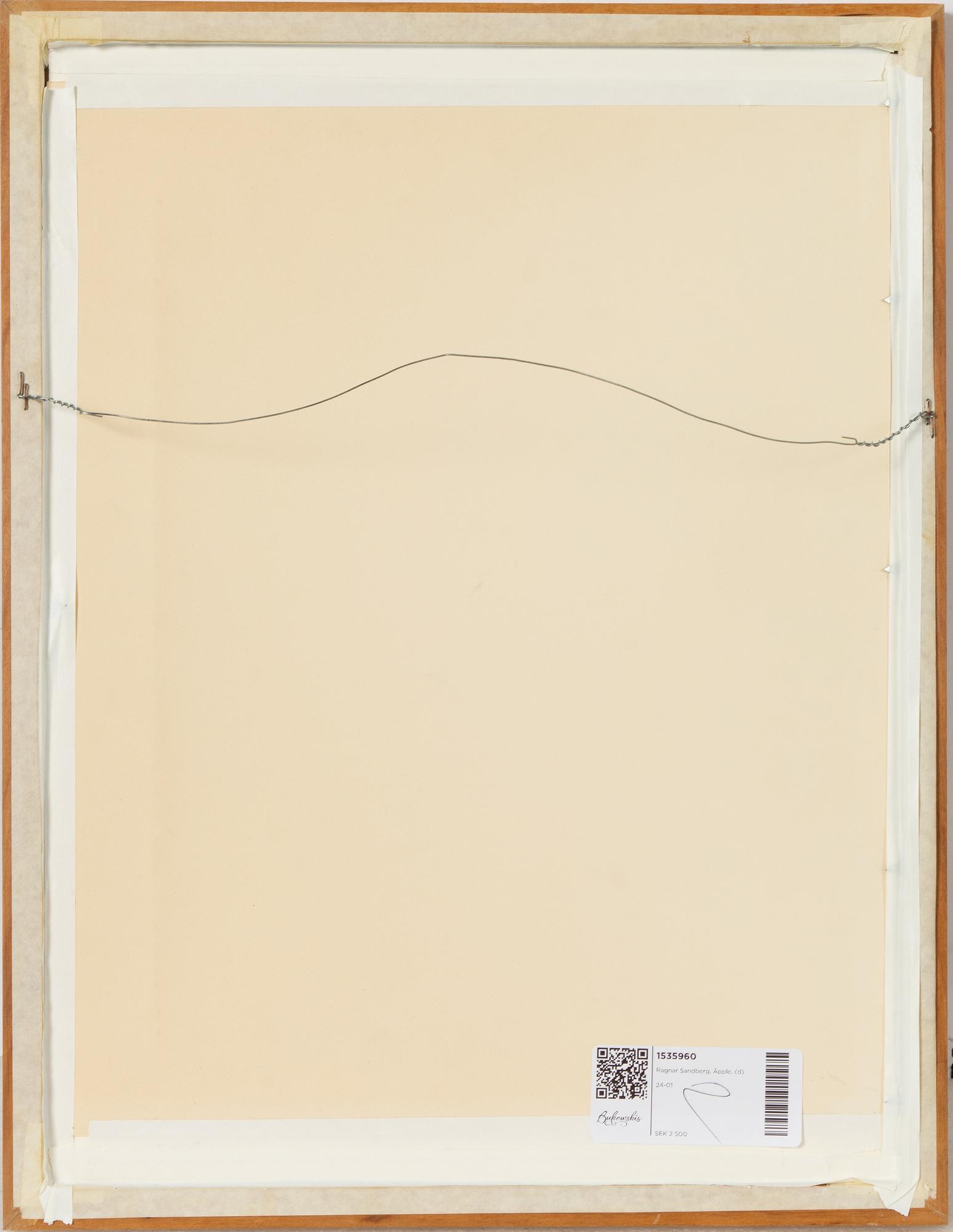 Ragnar Sandberg, Apple.
