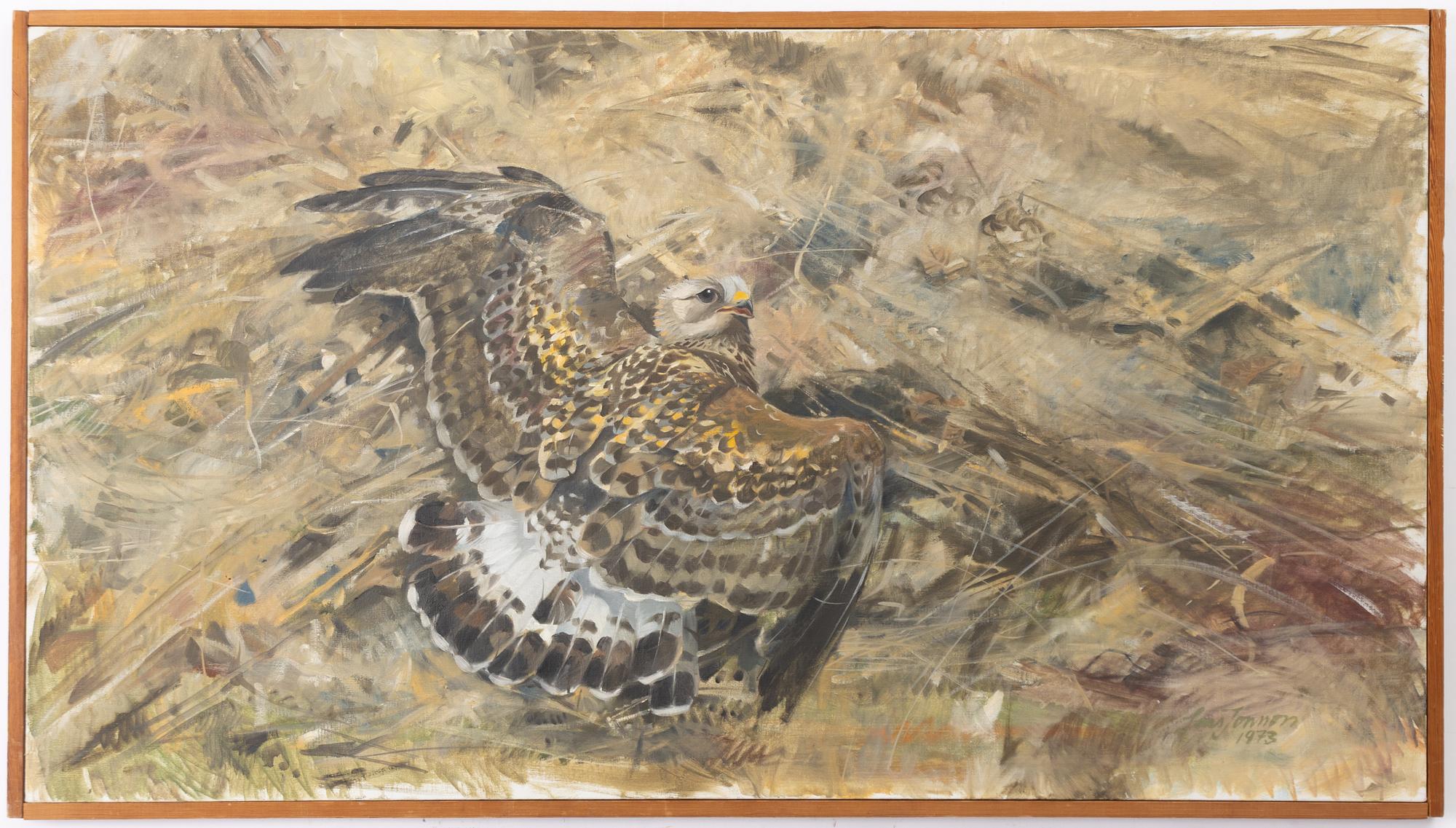 Lars Jonsson, Common buzzard.