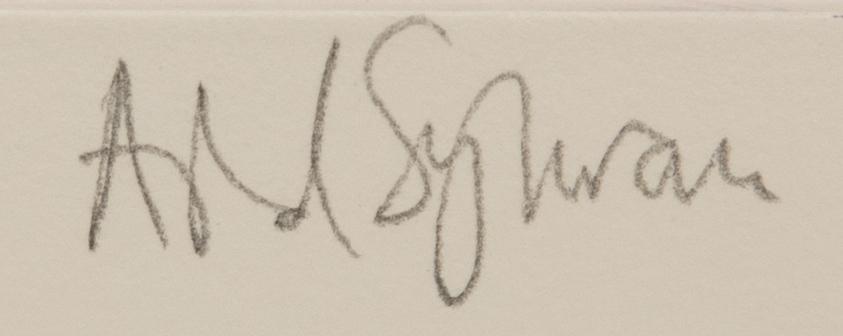 Astrid Sylwan, untitled.