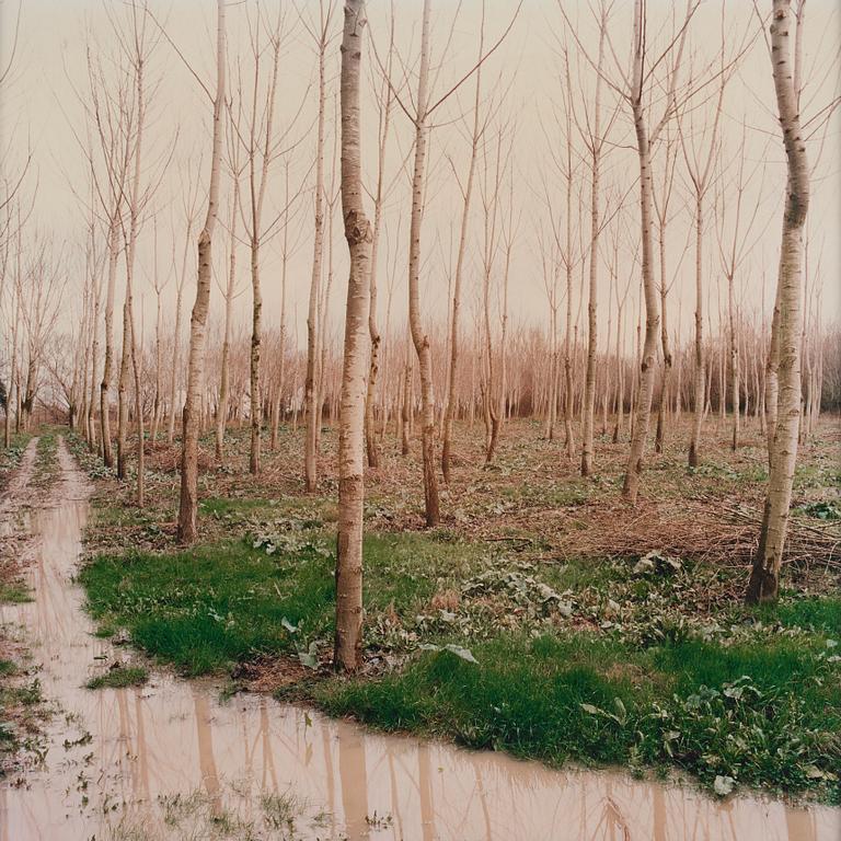 Brigitte Bauer, "Paysage du Rhône", 1996.