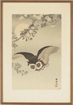 Ohara Koson, "Scops owl flying beneath a flowering cherry branch with the full moon behind".