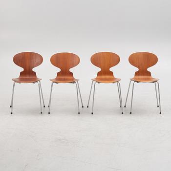 Arne Jacobsen, stolar, 4 st, "Myran", Fritz Hansen, Danmark 1963-64.