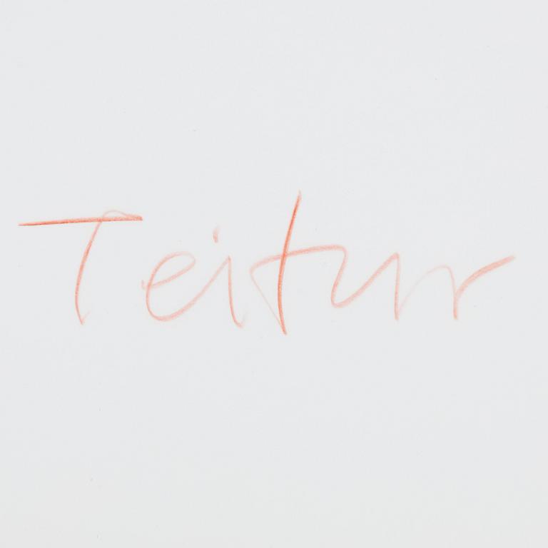 Teitur Ardal, "Mt Fuji".