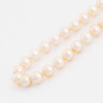 A cultured South Sea pearl necklace.