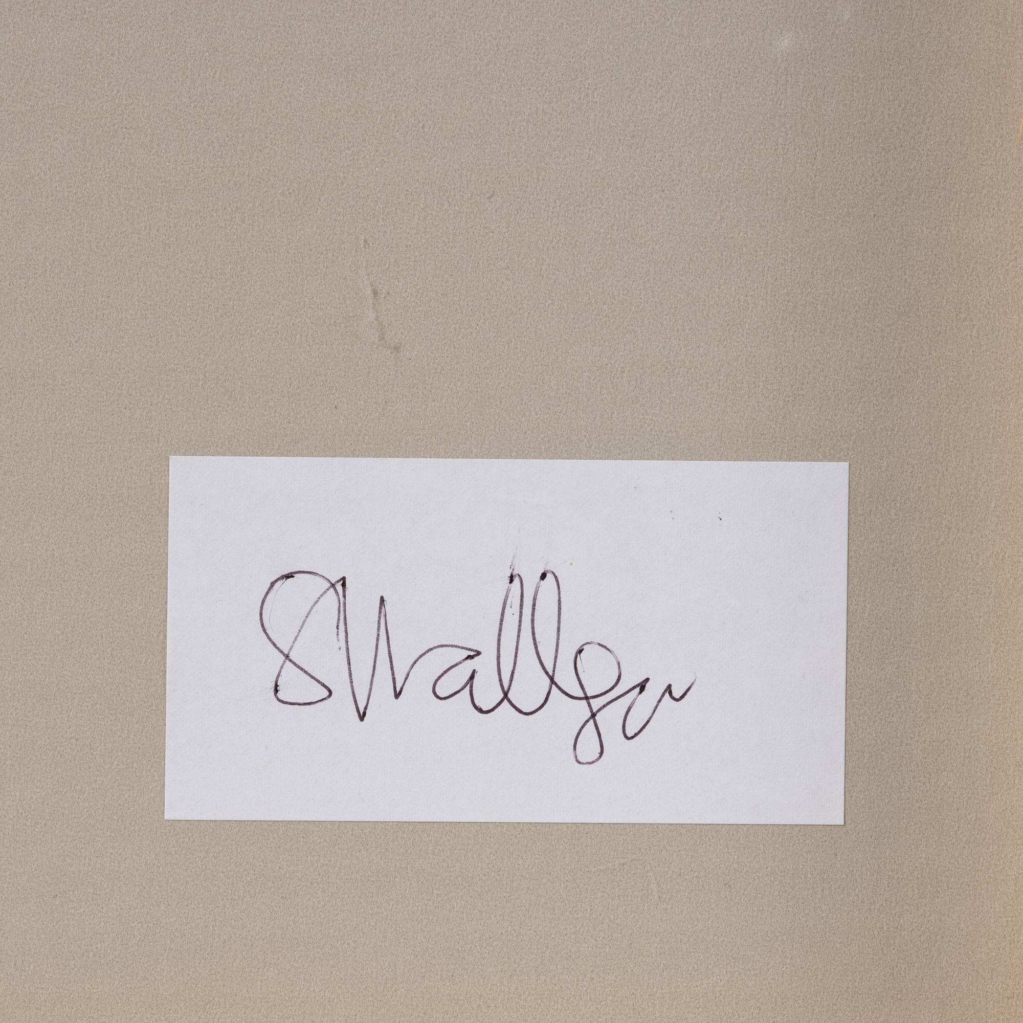 Sara Wallgren, "Discontinuances 4".