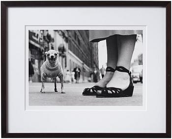 Elliott Erwitt, "New York City", ca 1950.