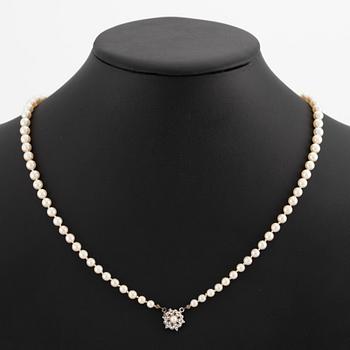 Pärlcollier, med doserade odlade pärlor, lås silver.