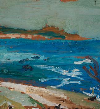 Sven X:et Erixson, Coast view.